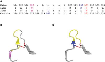 antibody antigen interactions contact analysis and binding site topography